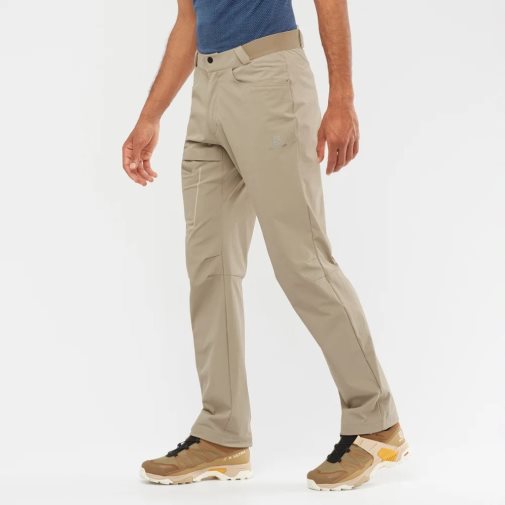 Khaki Salomon Wayfarer Men's Sport Pants | PH 23685C